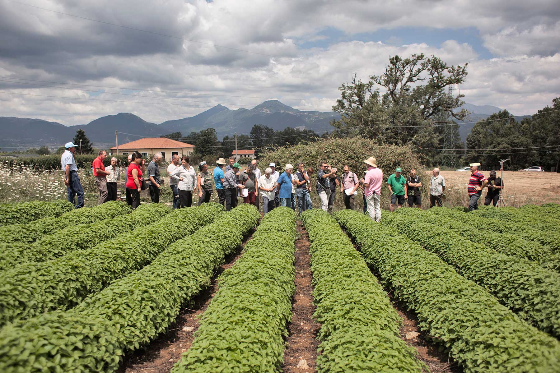 39 IR Dynaversity networks 1938 1