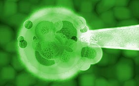 Swiss Federal Ethics Commission for Non-human Biotechnology (EKAH) on the evaluation of new breeding technologies.