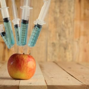 GMO