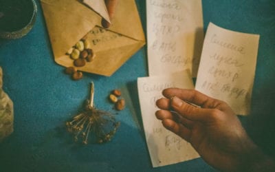 Plant passport, comments from a german umbrella organization