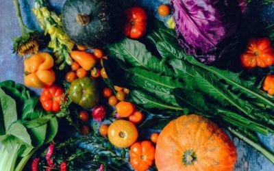 Local food systems to address global risks: from the climate crisis to COVID-19