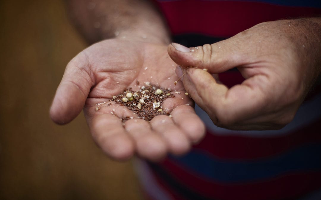 It’s released EC-LLD! / News n. 9 – DECEMBER