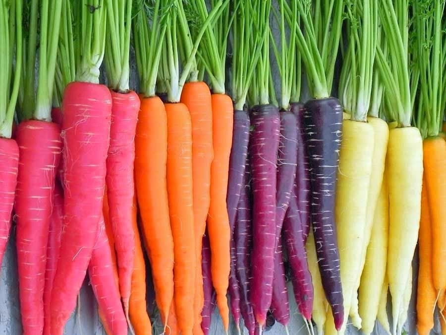 INTERNATIONAL EXPERT PANEL