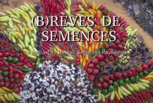 RSP_BREVE