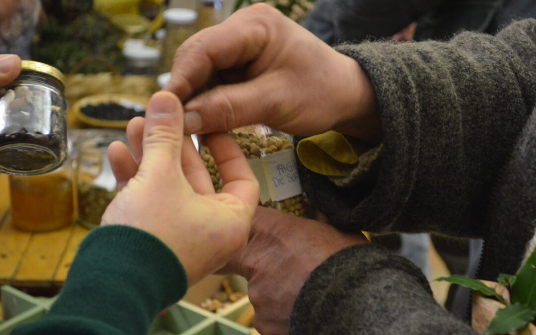 International seed swap – second part