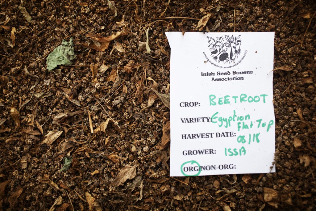 Naming plants in international legal text