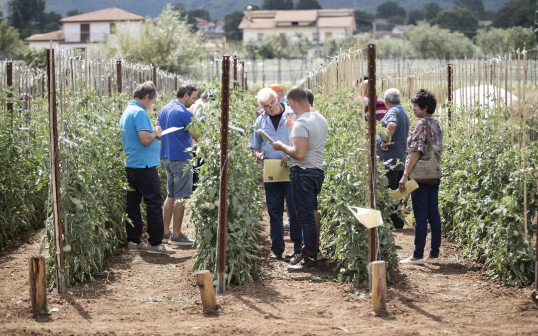 Field Visit -Vegetable seed production at the LTA, André Zewen’s Farm and LUGA Ettelbruck