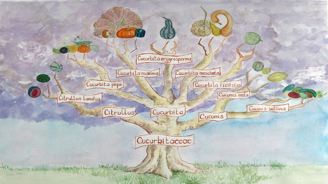 Seed Saving Course