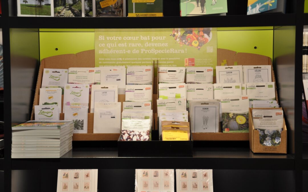 Catalogue of varieties: the sowing season is open!