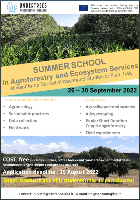 SantAnnaPisa_undertrees-summer-school