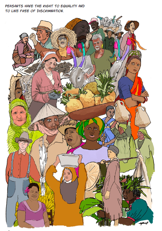 Illustration_Via Campesina_UNDROP-Book-of-Illustrations-l-EN-l-Web