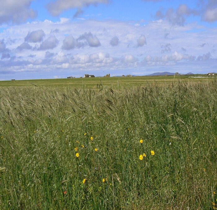 Agroecological practices for climate change mitigation