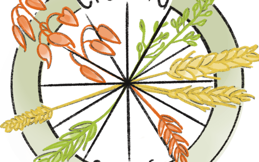 Cycling Seeds: a journey of discovery into traditional seed management from Italy to Iran