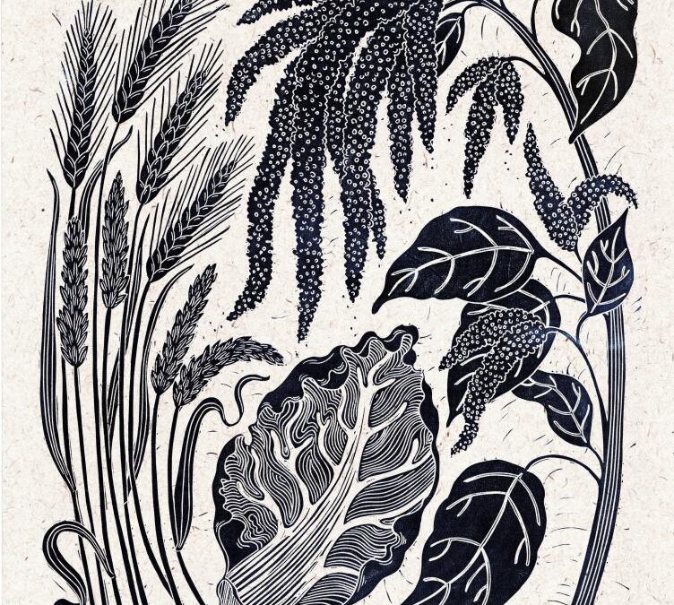 Gaia Foundation Seed Gathering 2023