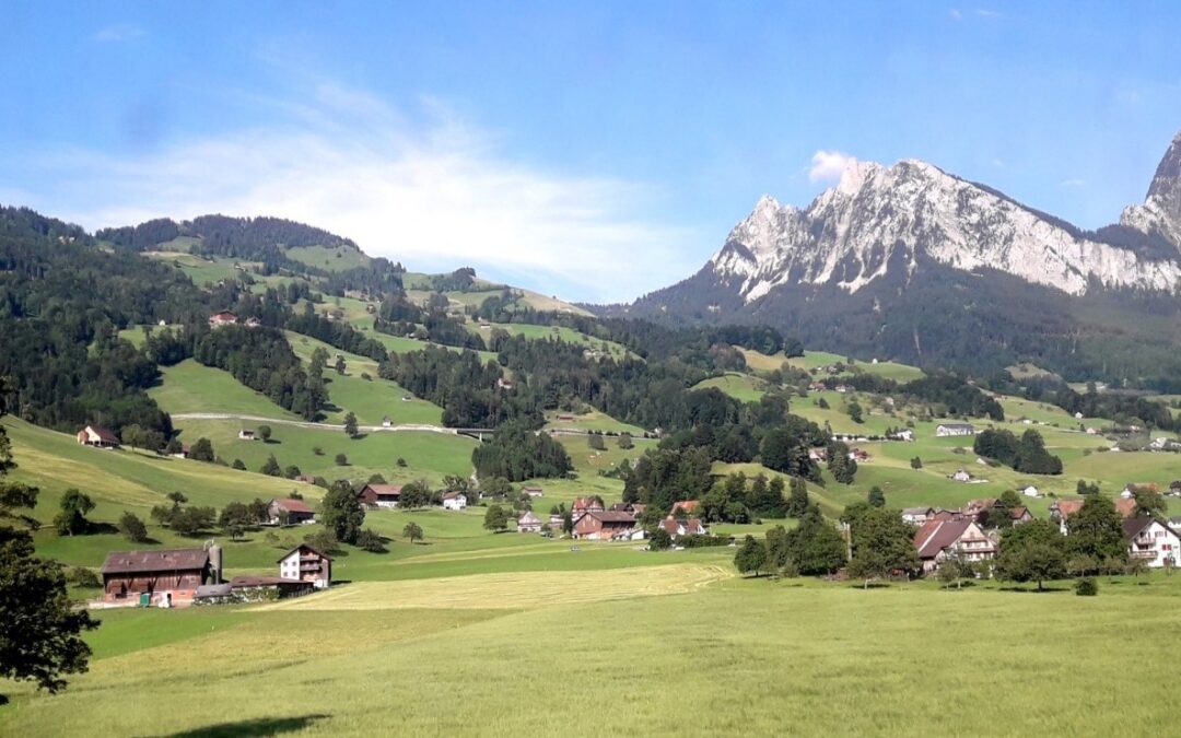 Addressing the Loss of Biodiversity in the Alpine Region