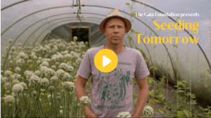 Seeding Tomorrow Gaia Foundation