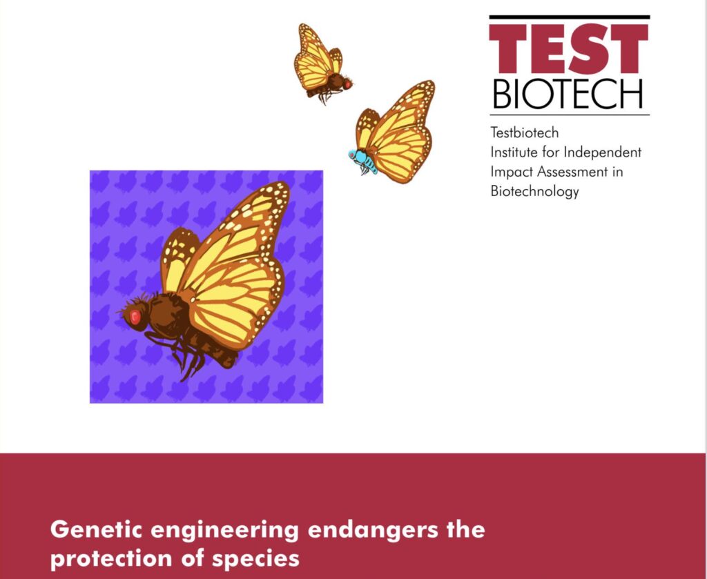 Cover Test Biotech Report
