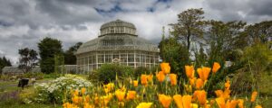 Dublin botanic garden
