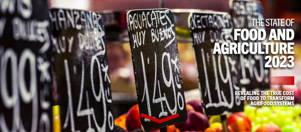 FAO 2023 publication