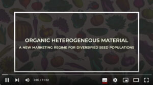 Screenshot OHM video