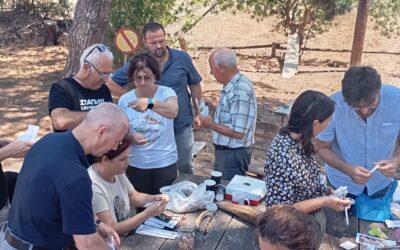 Cultivating diversity for resilient and inclusive communities 