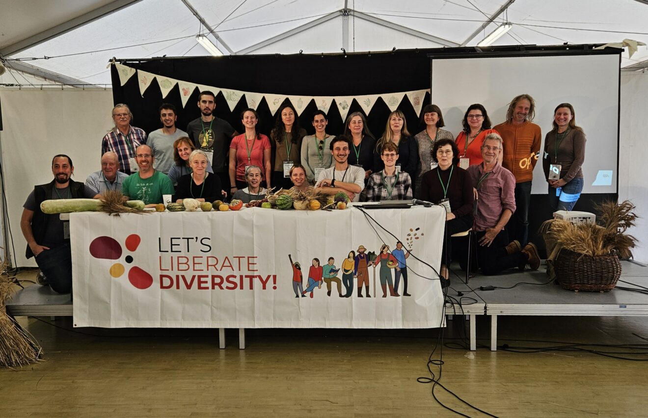 Welcome Foundation Alica and Semínkovna: New Members Strengthening ECLLD!