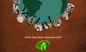 Cover ECVC UNDROP policy brief