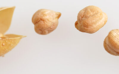 “Sprouting between art and science”: Three educational guides on seeds as the resilient pillars of healthy and sustainable food systems of past, present and future