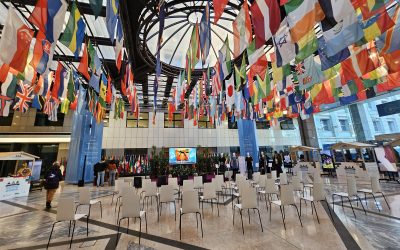 The Global Plan of Action for seeds is being revised at the FAO – and we’re in Rome