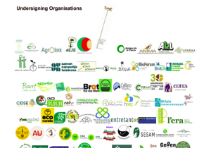 Signatories call for urgent and important changes