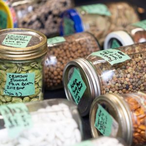 Credit: Organic Seed Growers Conference