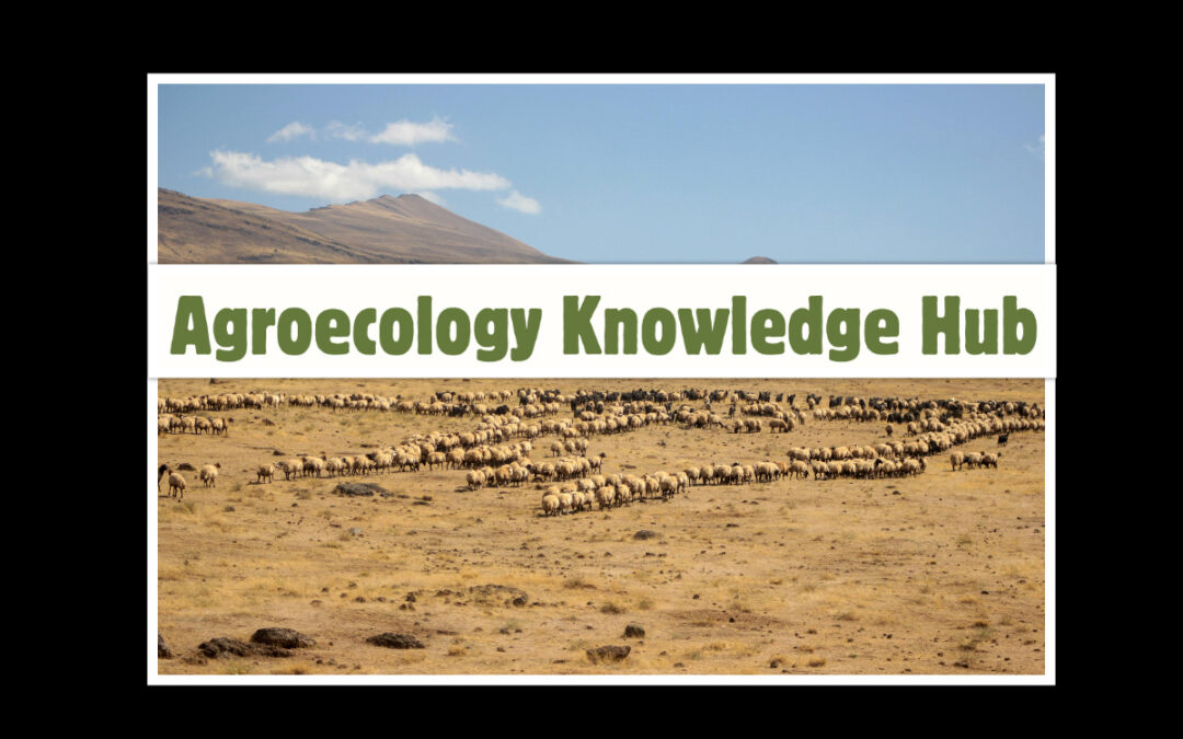 New Agroecology Digest September 2025