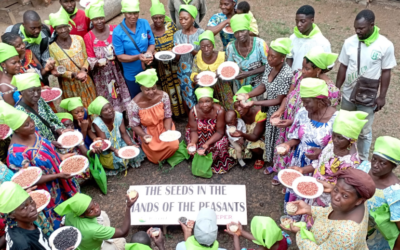 Seed Markets, Agroecology, and the Right to Food