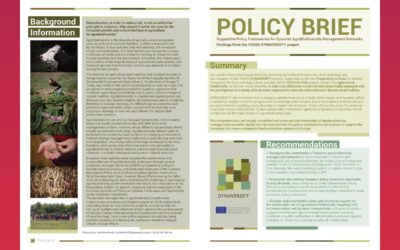 Supportive Policy Frameworks for Dynamic AgroBioDiversity Management Networks