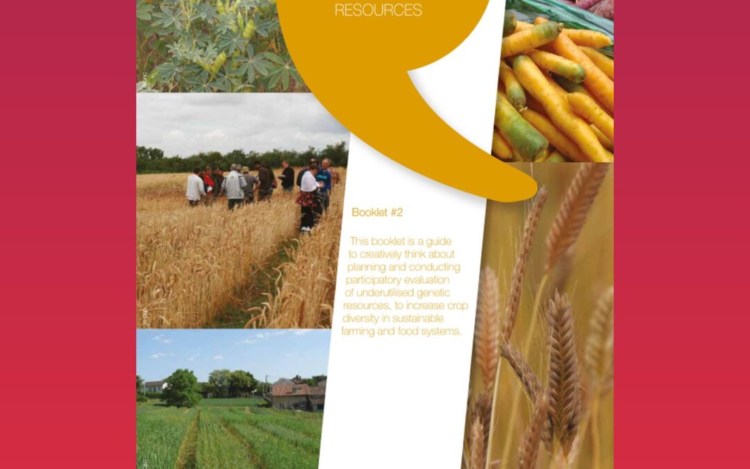 A guide to participatory experimentation with underutilised genetic resources. Booklet #2