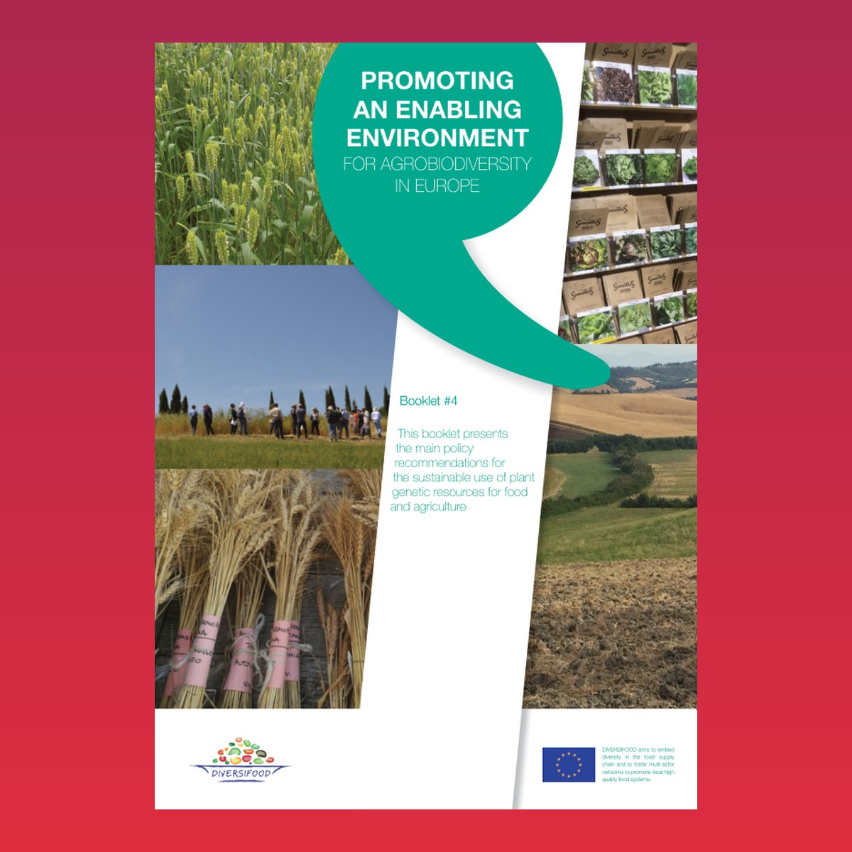 Diversifood Promoting an Enabling Environment for Agrobiodiversity in Europe – cover