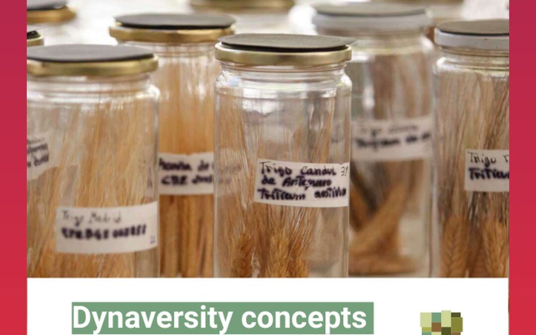 Dynaversity concepts for agrobiodiversity