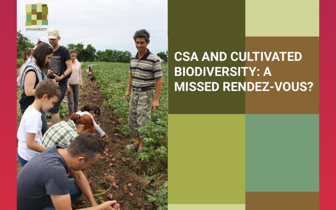 CSA and cultivated biodiversity: a missed rendez-vous?