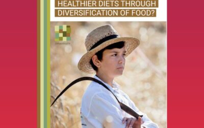 Desk study: How diversity fosters healthier diets through diversification of food?