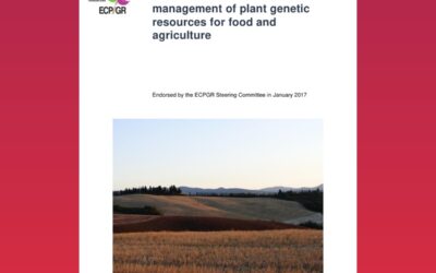 ECPGR Concept for on-farm conservation and management of plant genetic resources for food and agriculture