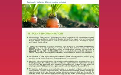 Definition of Organic Plant Breeding for registration of Organic Varieties suitable for organic production