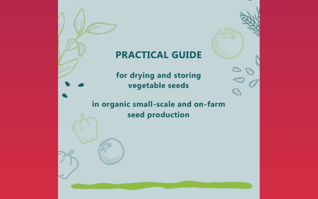 Practical guide for drying and storing vegetable seeds in organic small-scale and on-farm seed production