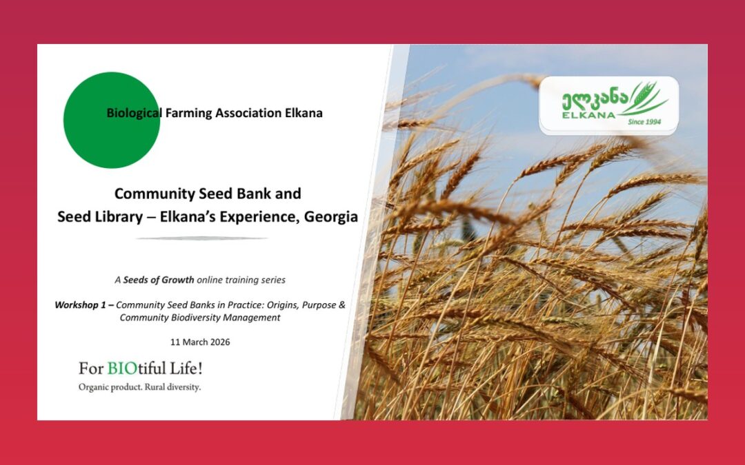 Biological Farming Association Elkana Community Seed Bank and Seed Library – Elkana’s Experience, Georgia.