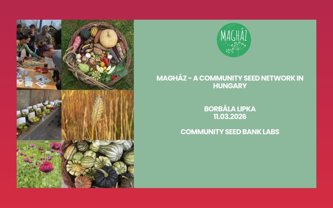MAGHÁZ – A COMMUNITY SEED NETWORK IN HUNGARY