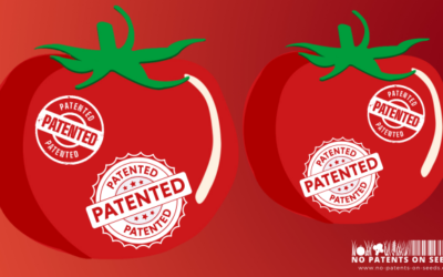 European Patent Office tries to knock out European patent law