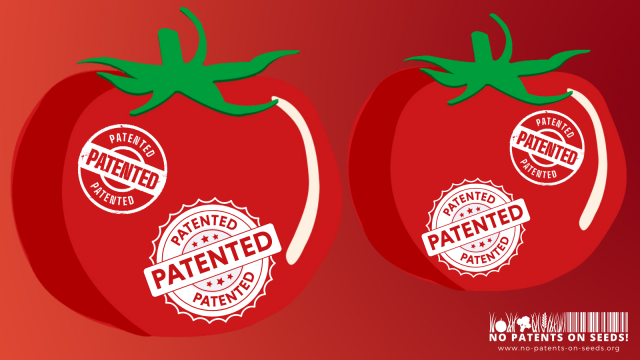 European Patent Office tries to knock out European patent law