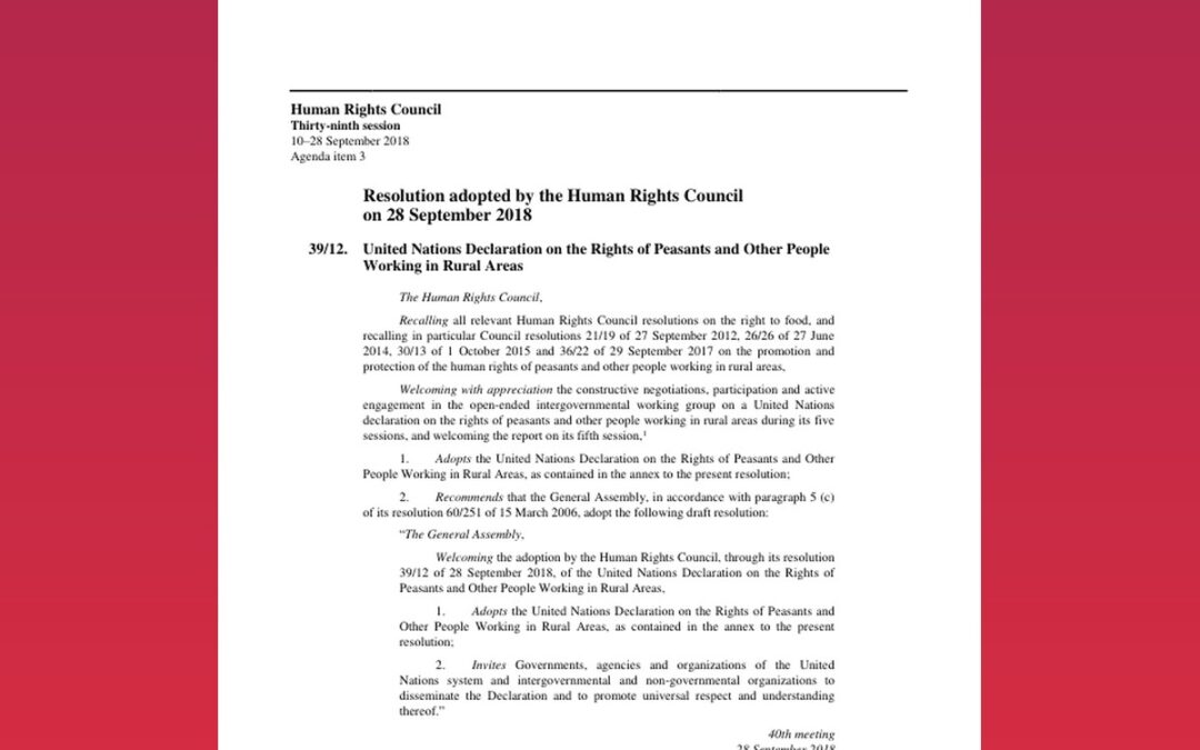 United Nations Declaration on the Rights of Peasants and Other People Working in Rural Areas