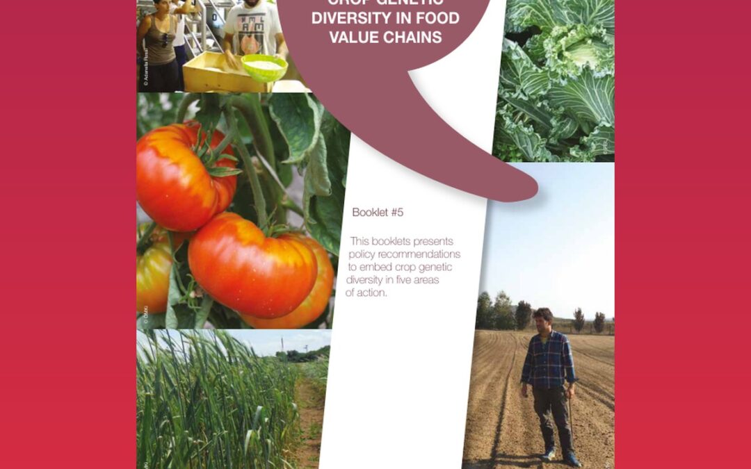 Embedding crop genetic diversity in food value chains. Policy recommendations from the Horizon 2020 Project DIVERSIFOOD. Booklet #5