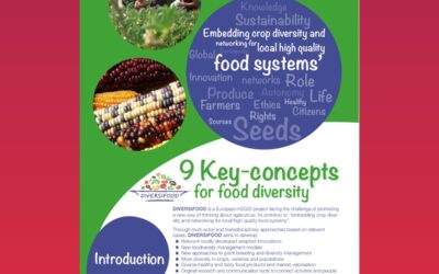 9 key-concepts for food diversity