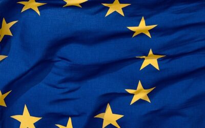 IntercropVALUES and Leguminose at the EU Parliament